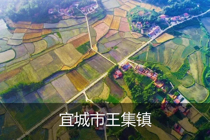 宜城市王集镇